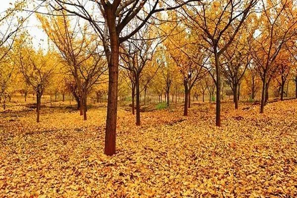 衡阳处于几线城市,衡阳是几线城市