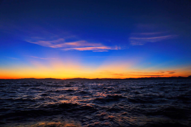 春城秀红嘴鸥图片,春城冬日美景