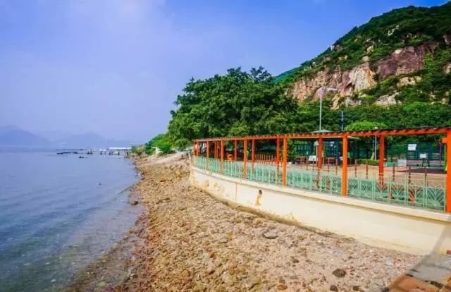 温州去香港攻略,喜大普奔可以转哪里