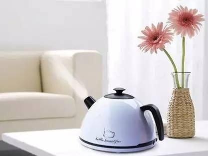 韩国夺命加湿器,加湿器致命事件