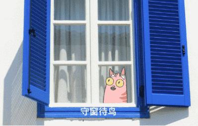 新手养猫指南铲屎官必看,铲屎官最容易忽略的五点养猫常识