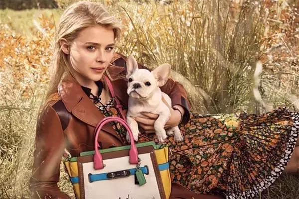 coach包必入款,coach包爆款