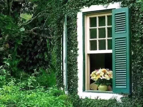 玉泉路的故事继续讲考研总分第一名落榜