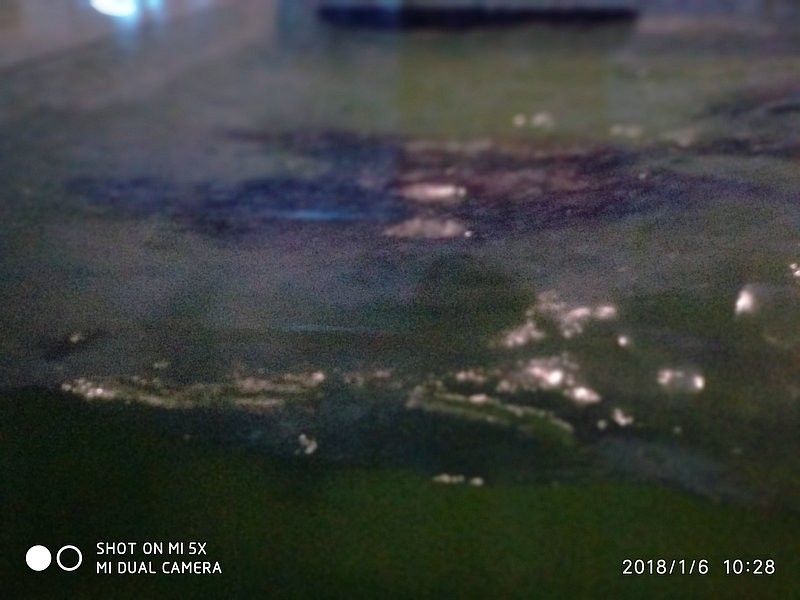 自驾安徽行13天——第一篇开封东京极地海洋馆