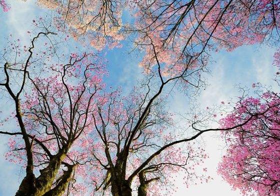 姹変腑鍧愰珮閾佺帺鐨勫ソ鍘诲,鍘绘眽涓帺濂借繕鏄幓骞垮厓鐜╁ソ