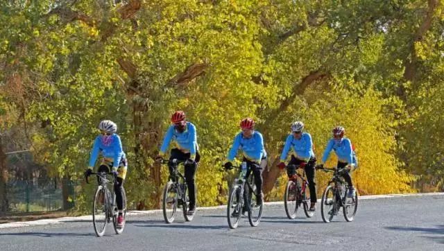 阿拉善今年活动,阿拉善户外活动