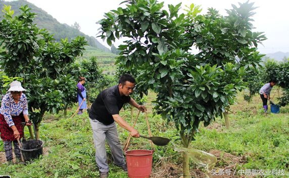 正确的清园手法,清园小妙招大全