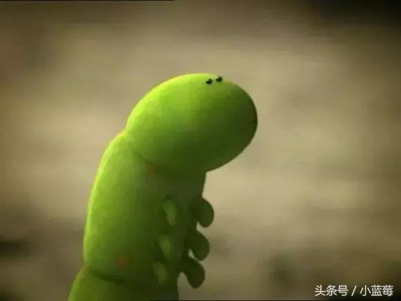 除了《粉红猪小妹》，我还带小蓝莓看这些优质动画片