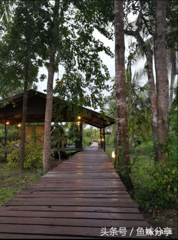 旅行记沙巴日记,第一次去沙巴旅行攻略