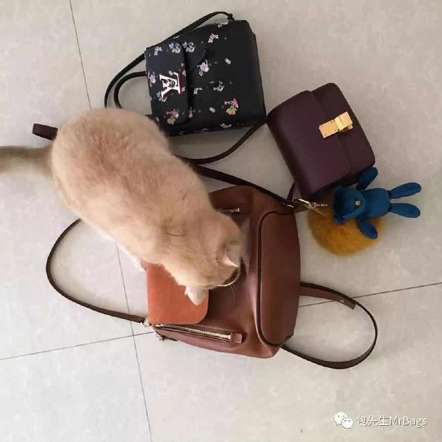 什么叫“包治百病”chanel、LV、Dior让爱买包包的人亲自告诉你