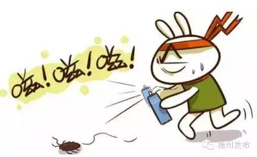 城中花园小区高层住户一晚粘住四五只老鼠?夏天到了,老鼠和蟑螂都飞天了!