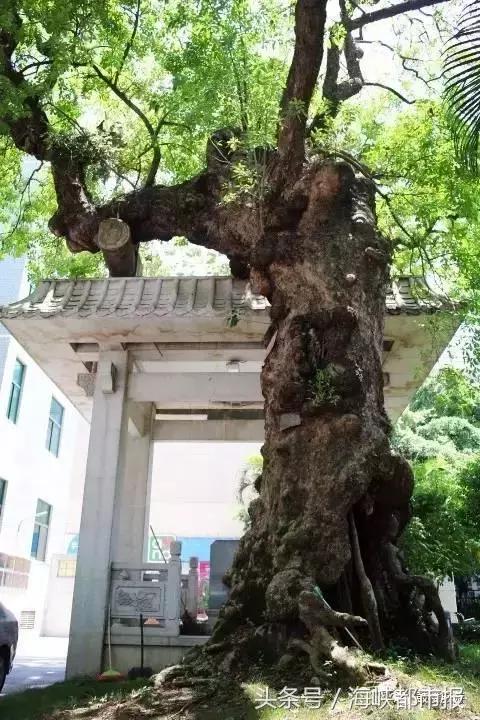 福州织缎巷,福州走读