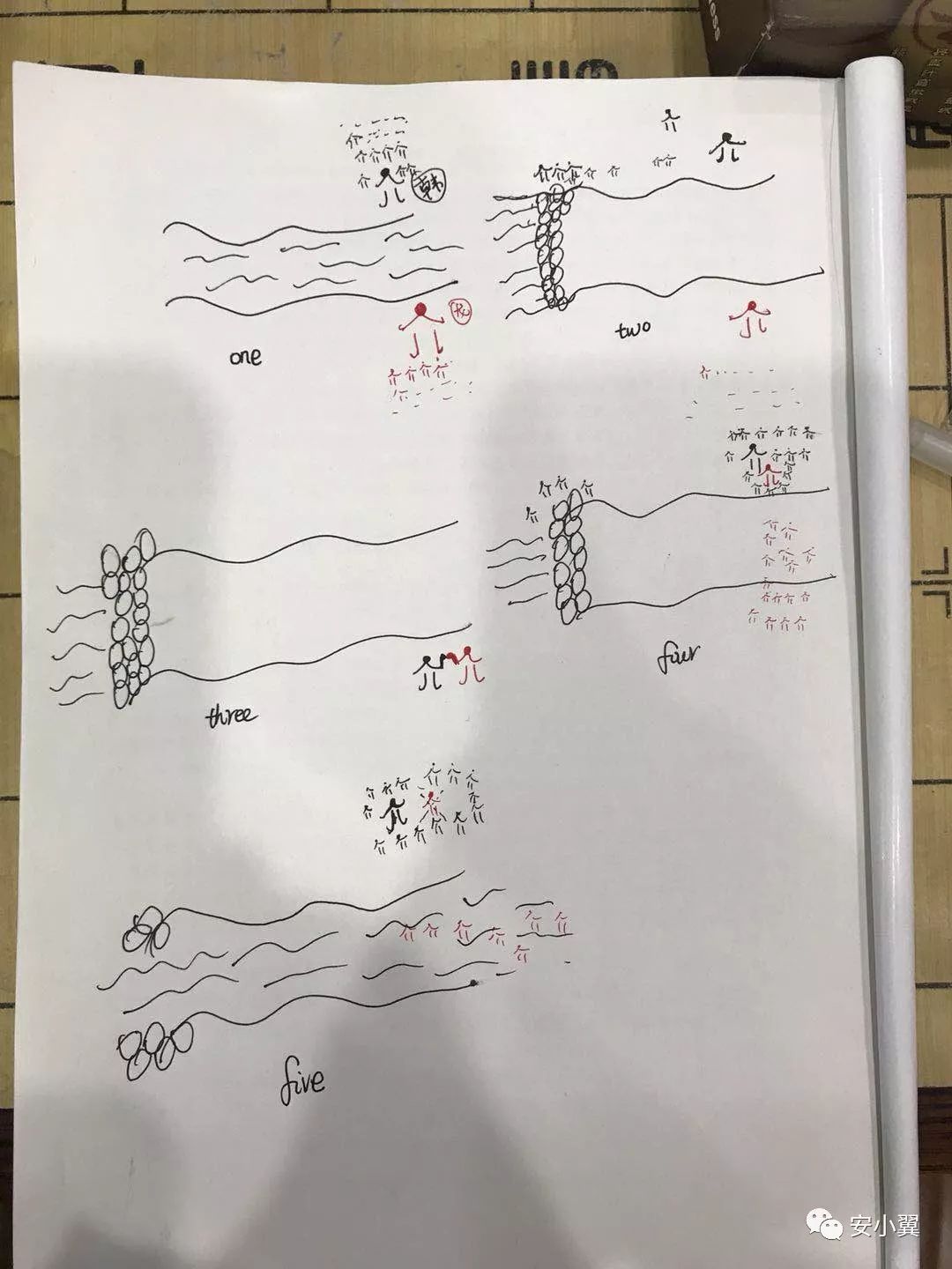 营销核*器武**—多米洛｜安小翼