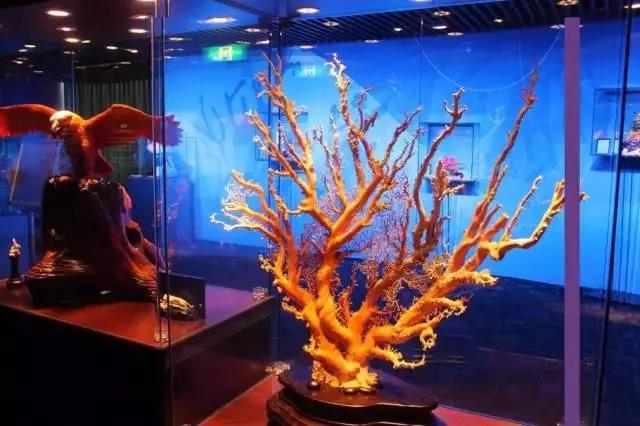 世界各地珍稀宝玉石大全,中国各省珍稀宝玉石图片