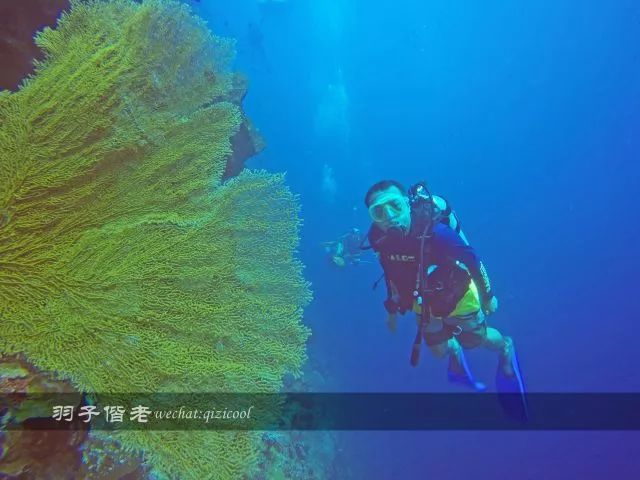 不再关心不再过问,不再过问身后事