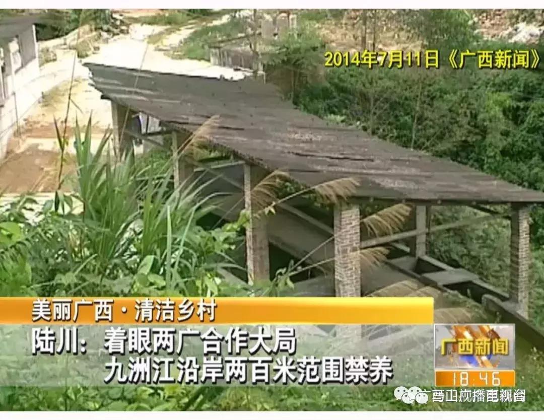 广西生态：“金字招牌”越擦越亮绿水青山变成“金饭碗”