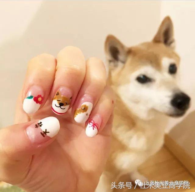 狗年财运最好的地方,狗年发财什么意思