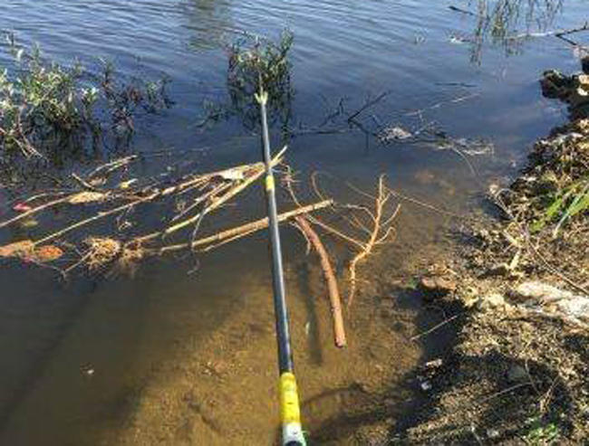 如何挑选一支适合的鱼竿,怎样选择一种好鱼竿