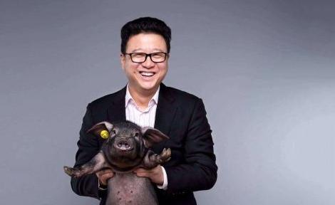 丁磊网易游戏一年能赚多少钱,丁磊2019养猪赚了多少