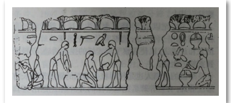 古希腊、古玛雅、古埃及还有中国，哪里是蜜蜂的起源