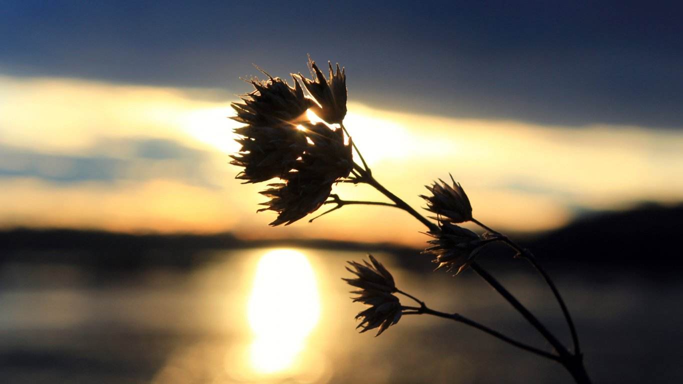 单片机汇编语言入门教程视频,汇编语言入门教程零基础