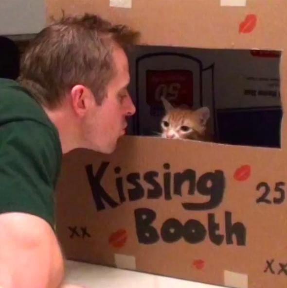 萌橘猫,萌橘猫老板