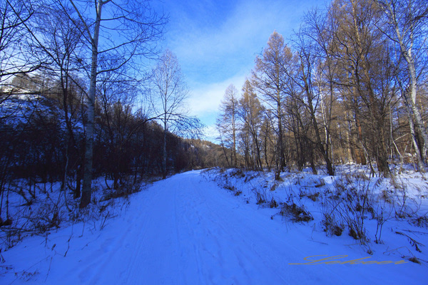 黑河兴安岭中有一个村款待客人方式怎么和蒙古族人一样？