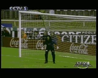 4个门将,门将的十大精彩的进球