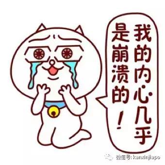 在新加坡怎么查询手机流量明细,在新加坡用中国手机流量