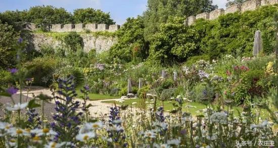 两位英国园艺师却将他们最好的作品留给了自己