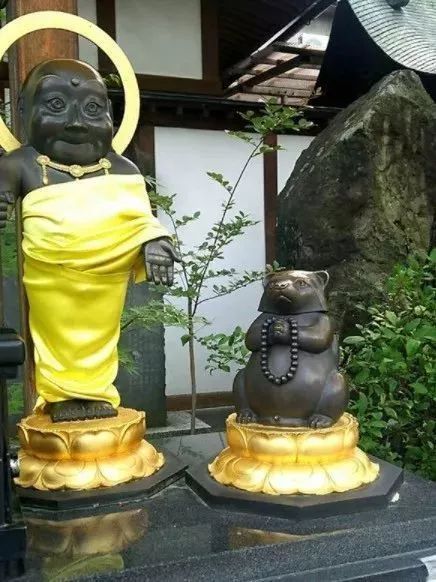 “女朋友和她的青蛙儿子跑了”去这些地方找和青蛙跑了的女朋友