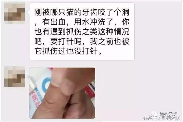 求助小猫被绳子缠住后续,被猫抓了要去打针吗