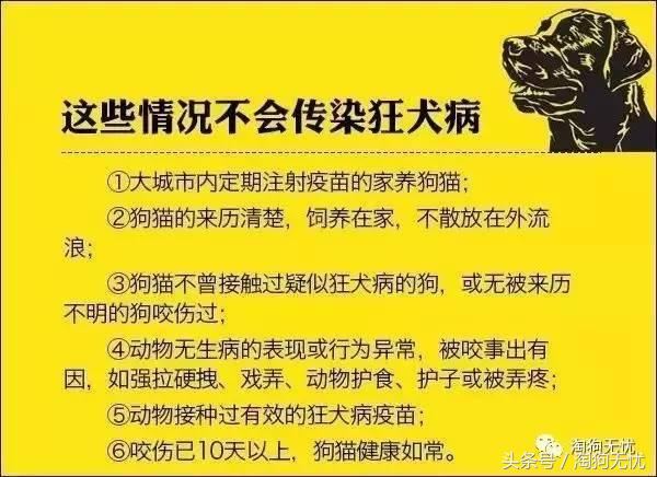 求助小猫被绳子缠住后续,被猫抓了要去打针吗