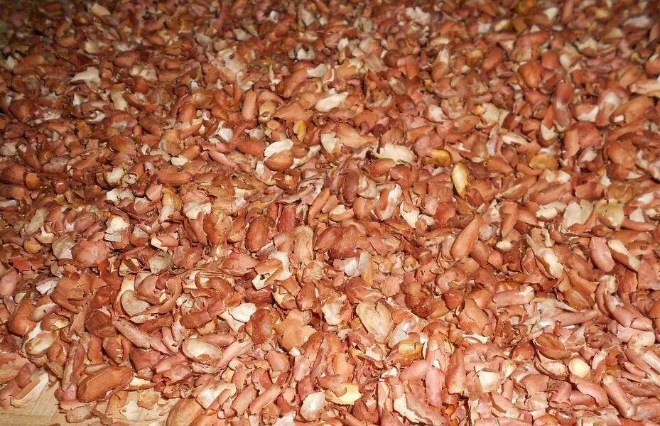 要长寿别贪这三样东西,想要长寿一定注意这10条