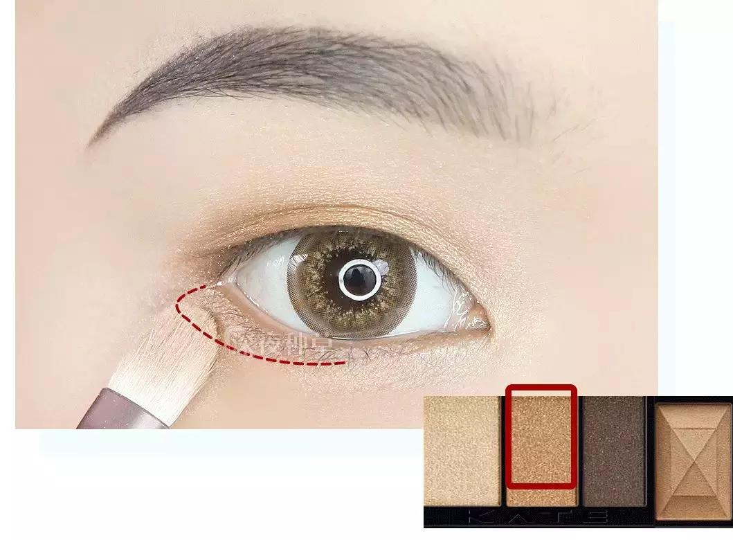 搞定整个眼妆的眼影盘推荐,眼妆新手眼影盘平价好用