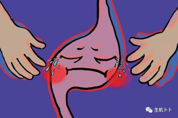 年底聚餐预防幽门螺旋杆菌,打响春节保胃战