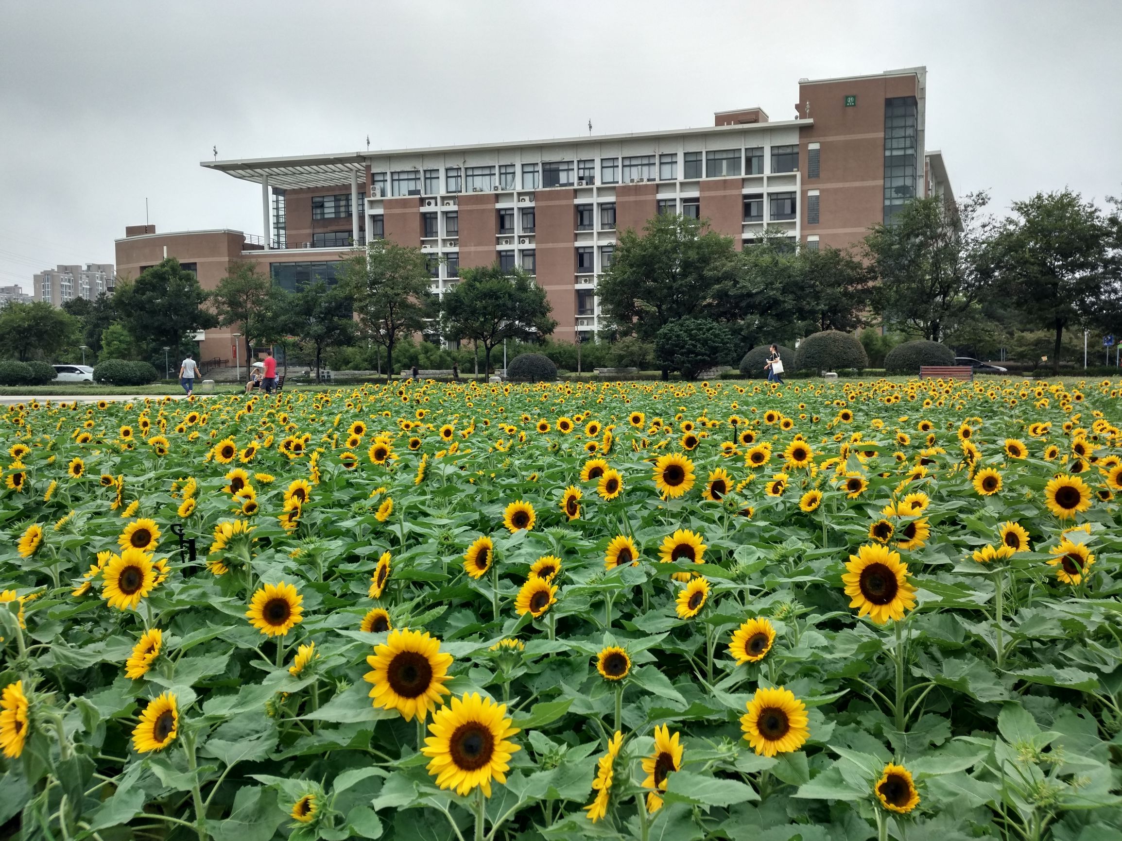 浙江师范大学2018年高水平运动员、体育专业特招生招生简章