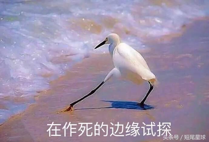 如何给兔子洗澡不出问题,怎么给兔子洗澡