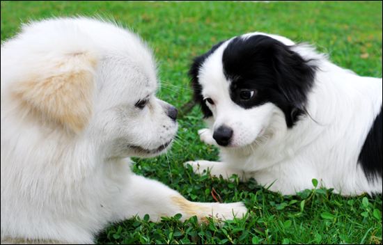 大学生创业项目推荐2021小本生意,创业项目推荐大学生最新