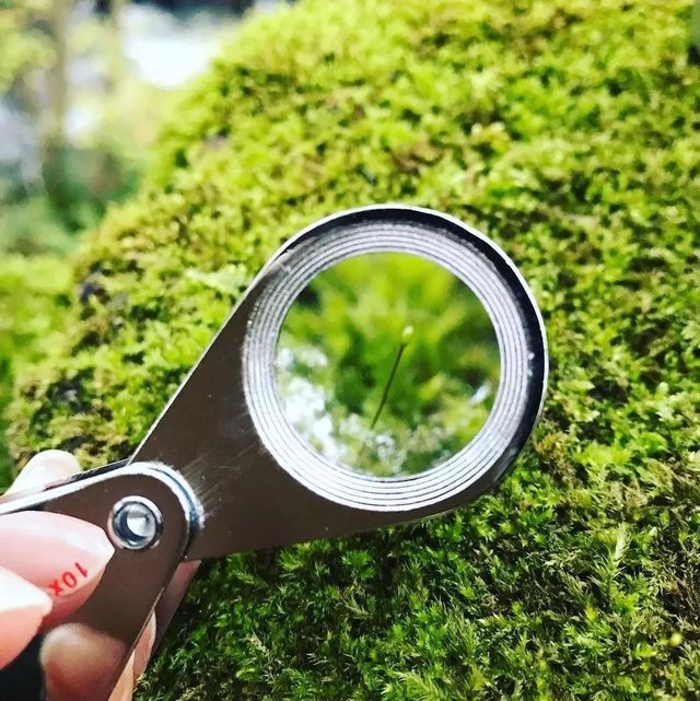 “女朋友和她的青蛙儿子跑了”去这些地方找和青蛙跑了的女朋友