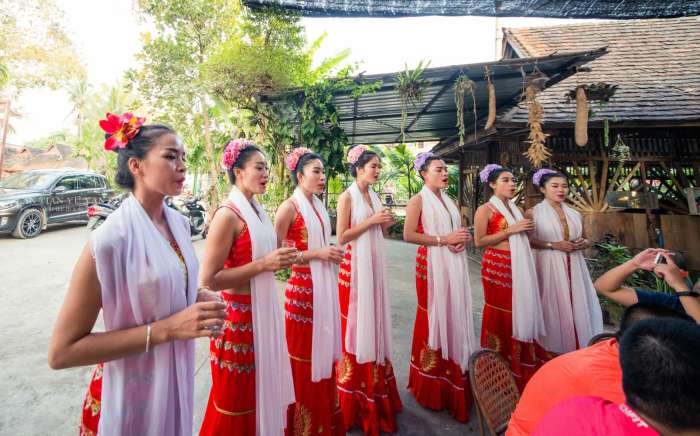 西双版纳最美公园是哪一个,西双版纳最主要景区有哪些