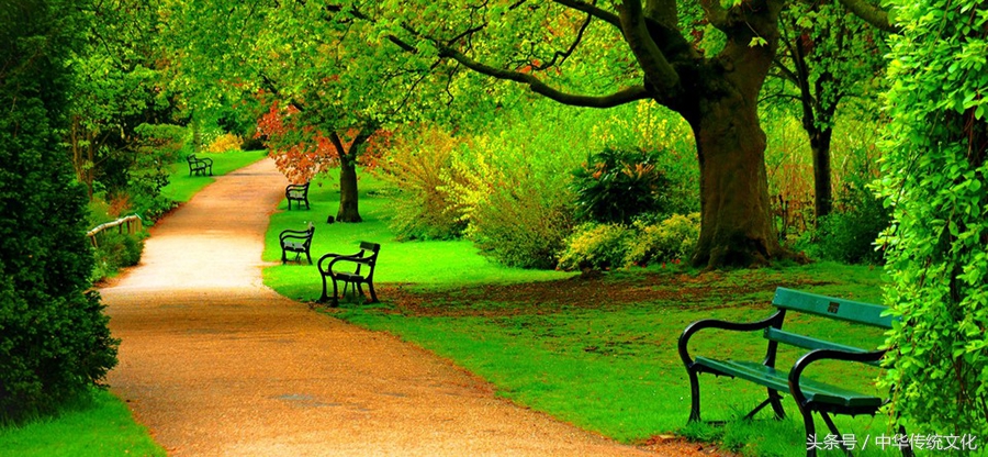 论语十二篇高中必背文言文,小古文100篇论语通俗易懂