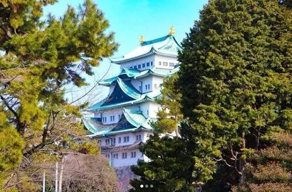 “女朋友和她的青蛙儿子跑了”去这些地方找和青蛙跑了的女朋友