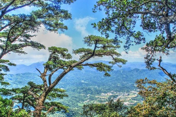 三亚旅游攻略纪念品,自驾游海南三亚必备物品清单