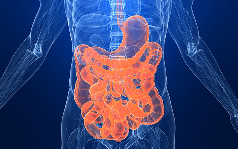 十种消化系统疾病用药时间表,消化系统常见的疾病和用药