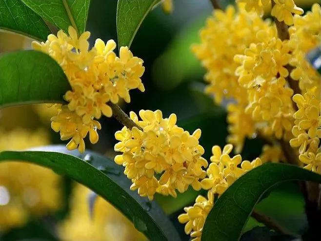 好用又便宜的老牌国货推荐,国货品牌超级好用