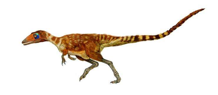 盘点六种恐龙哪家强,十大最好恐龙排行榜