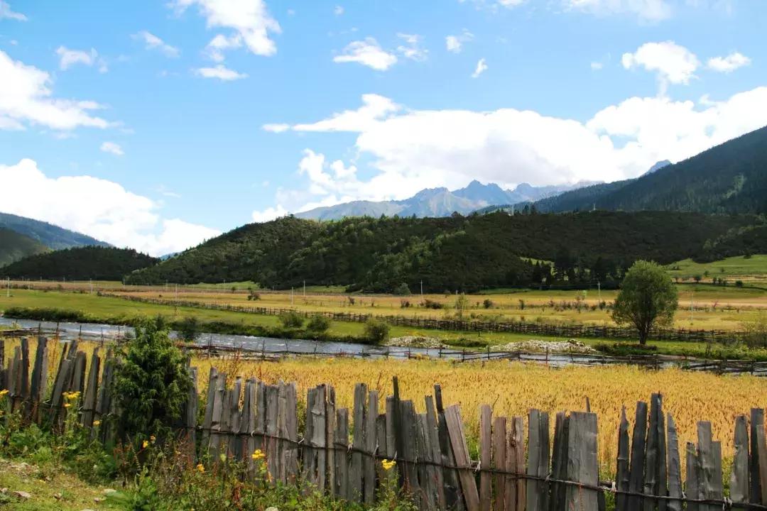 拉林高速最美段,公路的颜值