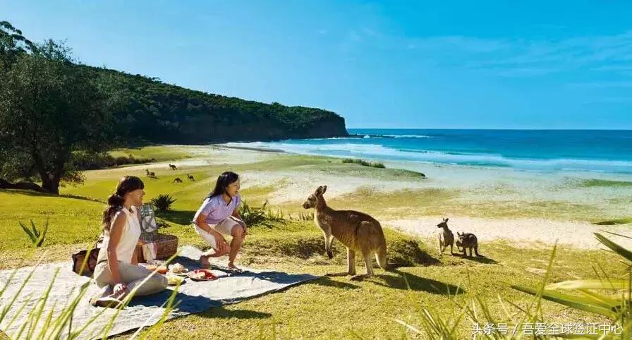 女游客去澳洲旅游被安排,女游客去澳洲旅行的真实案件回顾