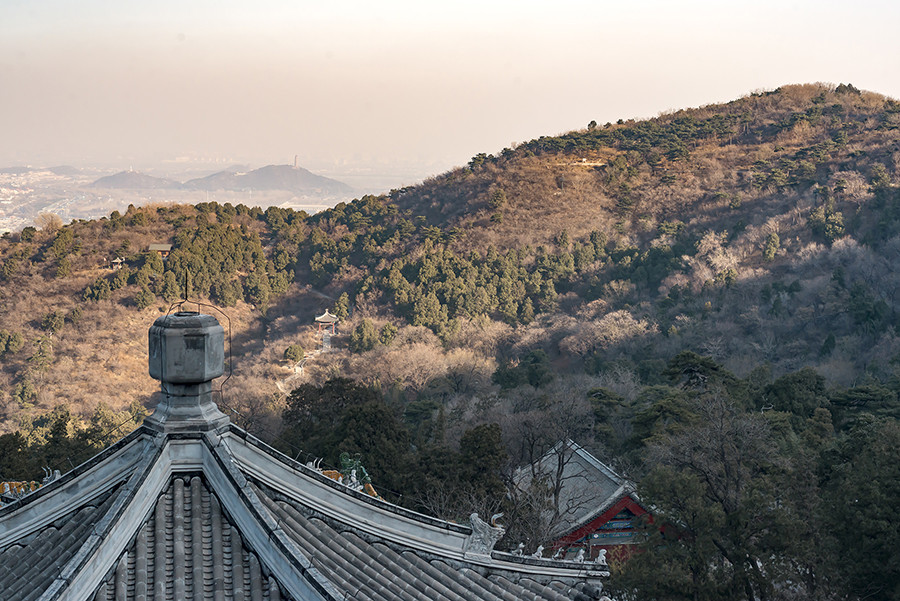 无雪的冬天原文,无雪的冬天